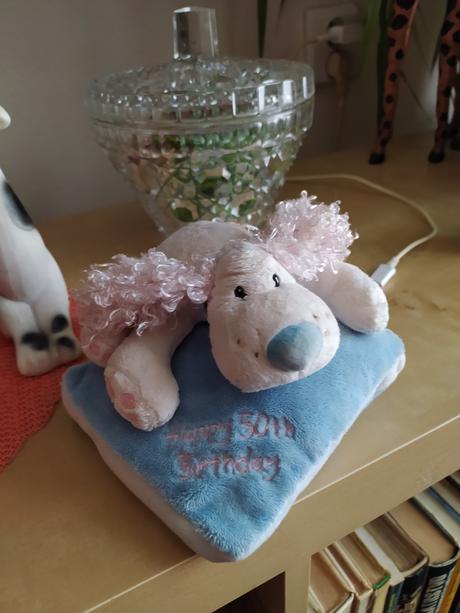 Psík k 50 narodeninám, 