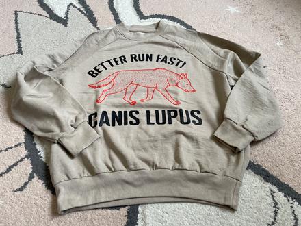 Mikina vlk, sinsay,152