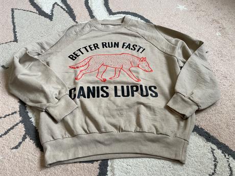 Mikina vlk, sinsay,152