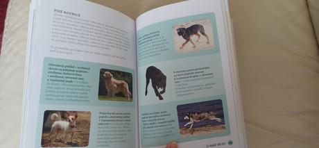 Čo dokáže váš pes, 
