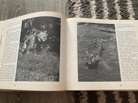 Ázia-prvé vyd.1980,