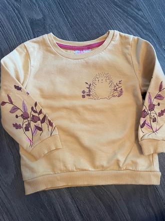 Pekna mikina s jezkom, 80