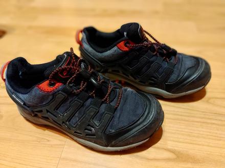 Botasky, alpine pro,33