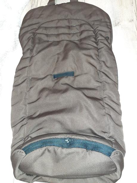 Rastúci fusak teutonia, teutonia