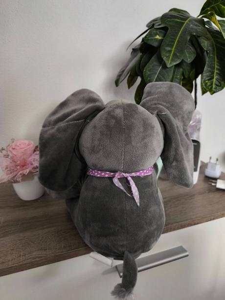 Sloník spieva, hovorí po anglicky a hýbe ušami, 