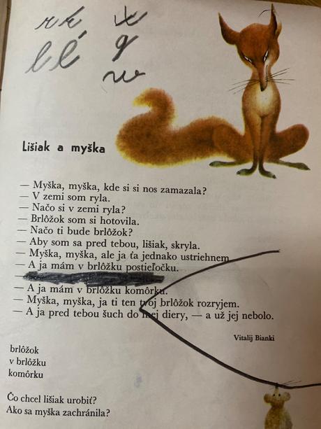 Kniha- čítanka pre 1. ročník, 