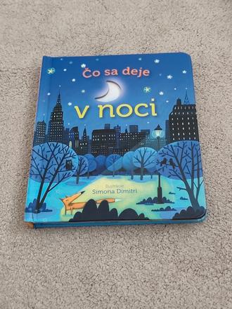 Čo sa deje v noci,