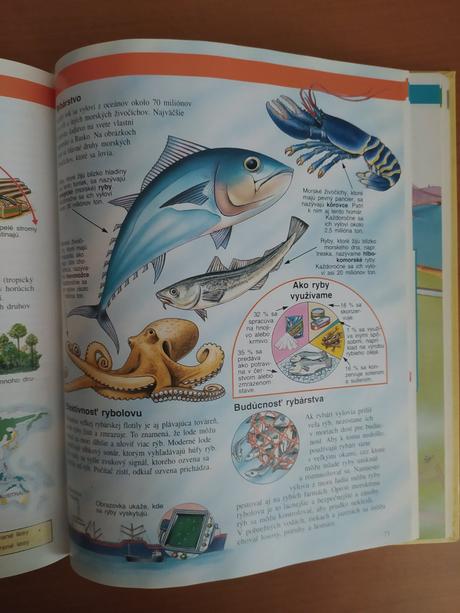 Zemepisná encyklopédia (1997), 