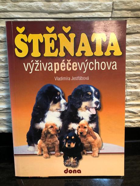 Upratovanie v detskej knižnici,