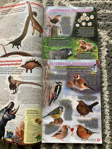 Časopis fifík 5ks plus maľovanka z fifíka 2025/26, 