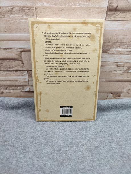 Havranie dievča - erik axl sund, 