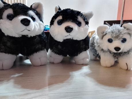 Plyšové vankúšiky psíky, 