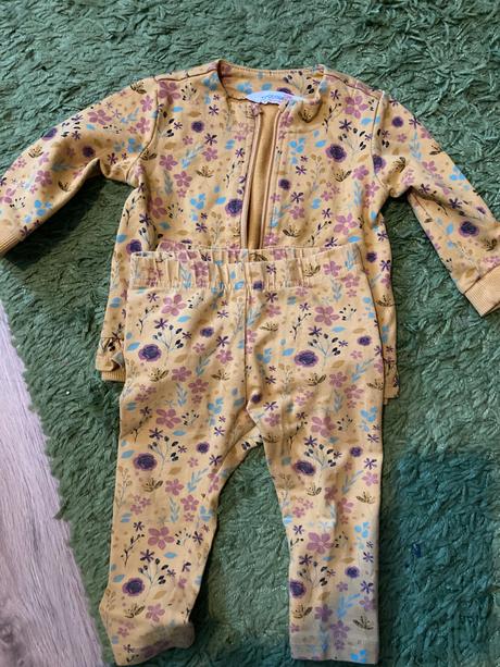 Coccodrillo súprava, coccodrillo,74