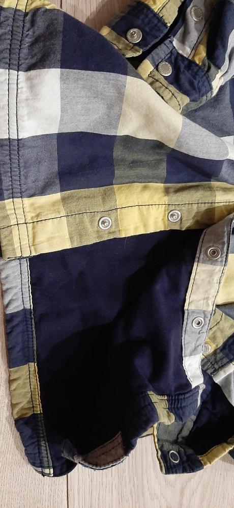 Mikinova kosela, coccodrillo,104