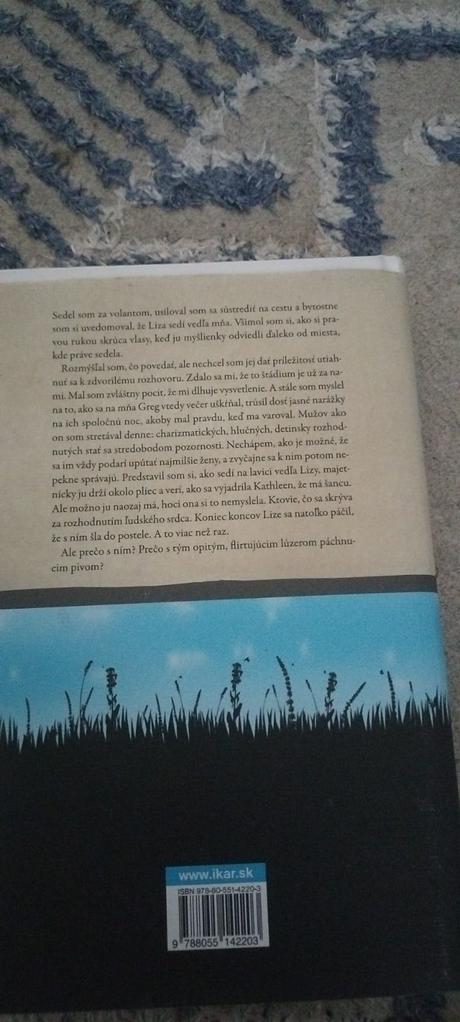 Strieborný záliv - jojo moyes, 