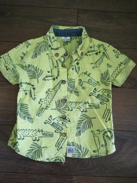 Kosela top stav, f&f,86