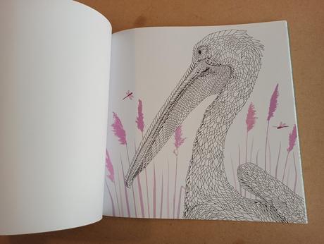 The aviary - bird portraits to colour, 