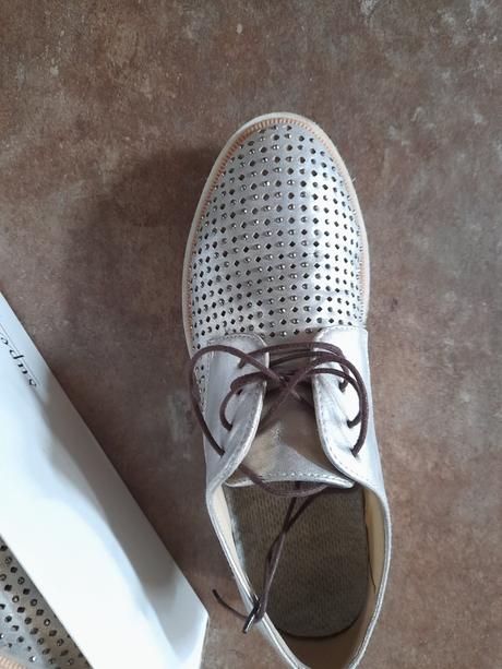 Poltopanky strieborne, 37