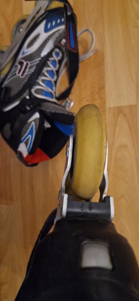 Fila korčule, fila,43