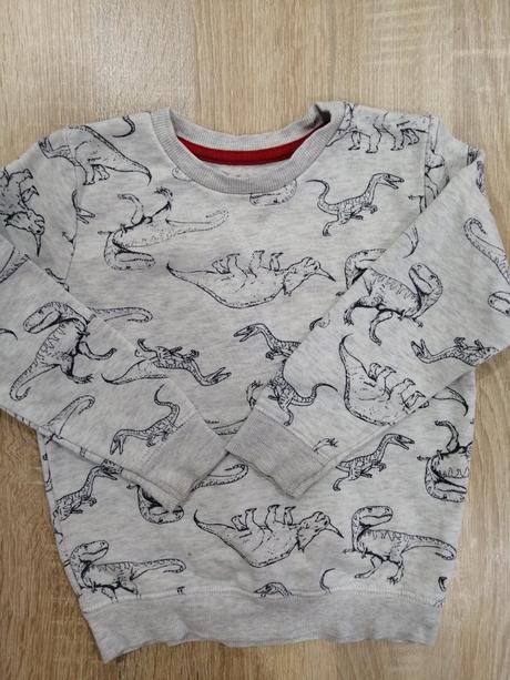 Mikina s dinosaurami, 92