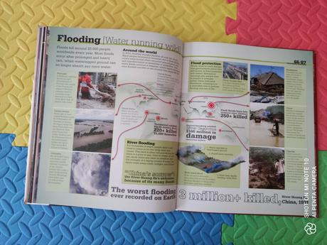 Disaster kniha top stav,