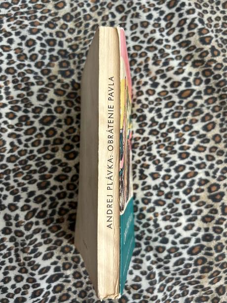 Obrátenie pavla - andrej plávka,