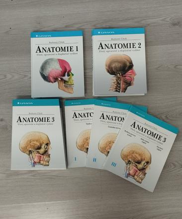 Anatómia,