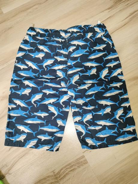 Kratasy, palomino,128