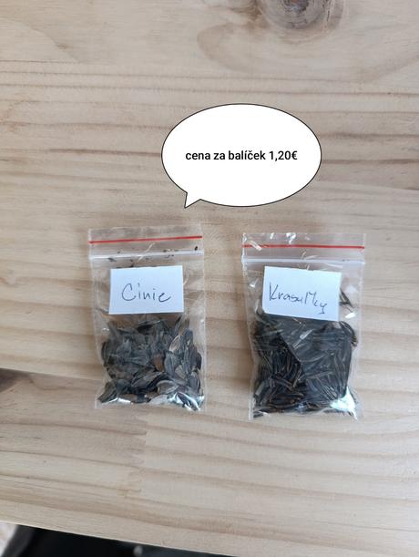 Semienka letničiek krasuľky,