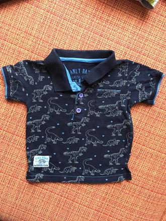 Dino tricko, early days,68