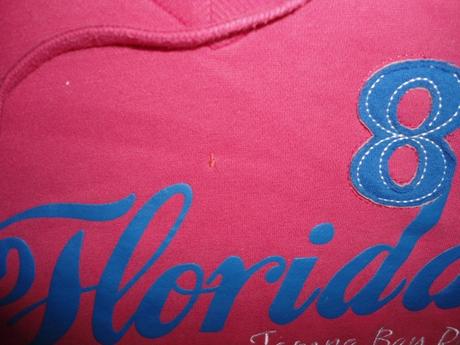 Ruzova mikina florida, m