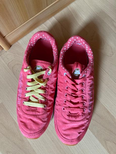 Tesnosky coqui, coqui,36