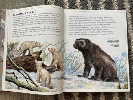 Zvieratá európy-prvé vyd.1997, 