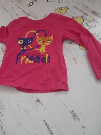 Mačičkové, f&f,98