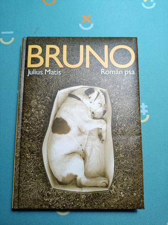 Bruno román psa,