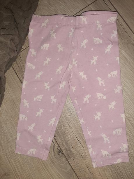 Lodger nosič, lodger