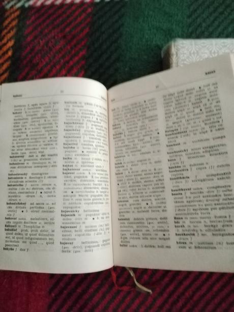 Latinsko slovenský slovník a latinčina, 