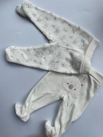 Polodupačky s macíkmi, sergent major,68 / 74