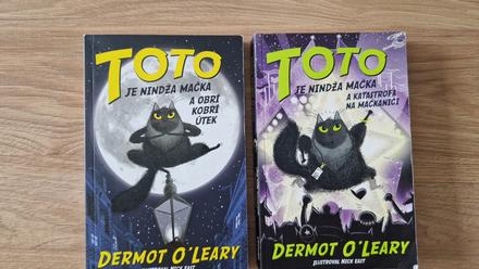 Toto je nindža mačka, 