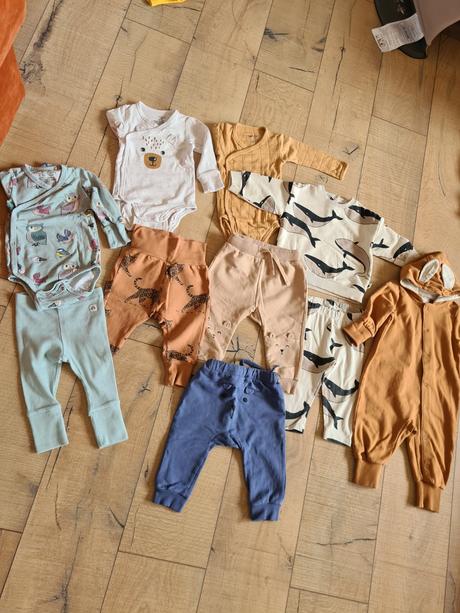 Lindex velryby, 50–62