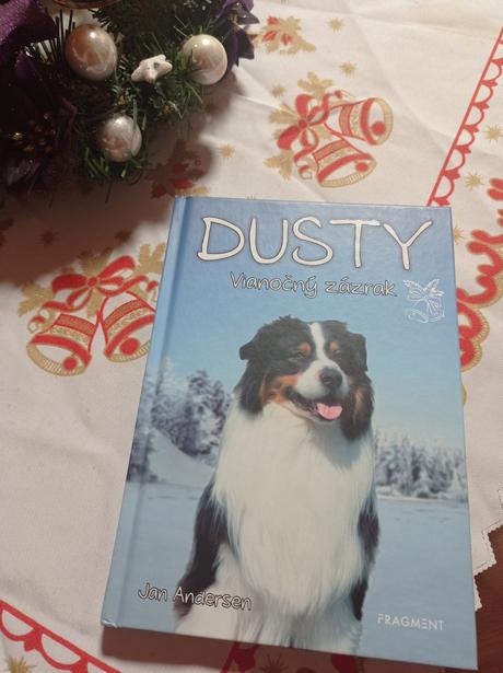 Kniha dusty - vianočný zázrak, 