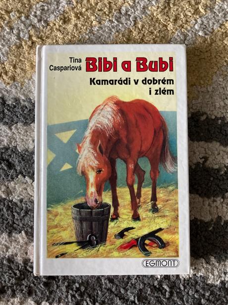 Bibi a bubi. kamarádi v dobrém i zlém (1993),