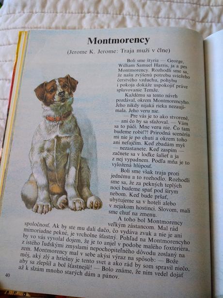 Najkrajšie dobrodružné príbehy, 