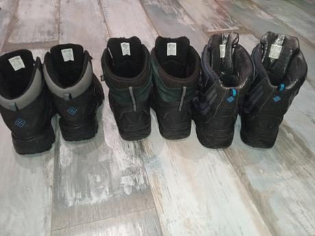 Snehule columbia, columbia