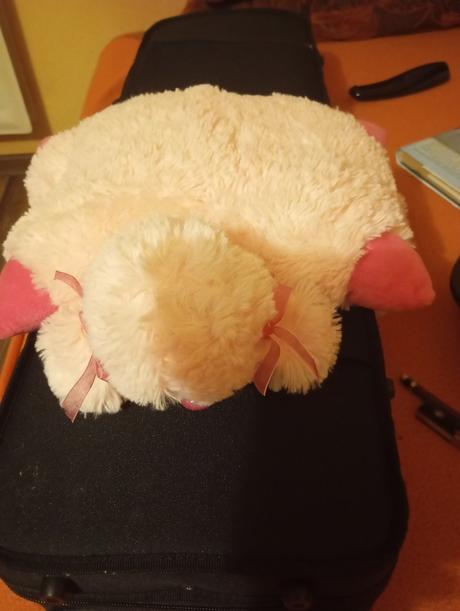 Plyšový psík aj vankúš,