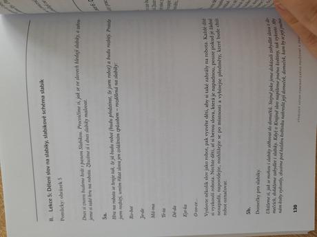 Vývinový vzťah fonematického povedomia a písmen,