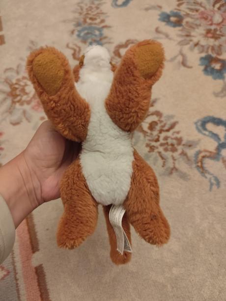 Jemnučký tiger rappa, 