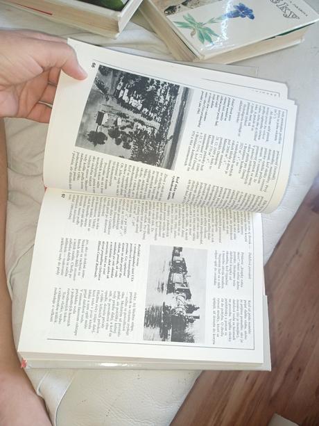 3x kniha,ruze,skalický,tsunami,