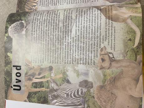 Savci vědomosti v kostce anatomie chování oblasti, 