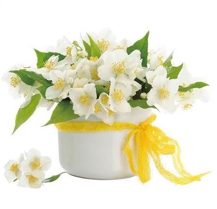 Okenná fólia kvietky 30 x 33,5 cm,